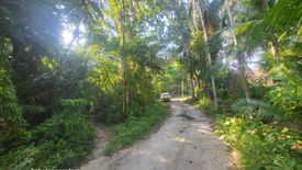 Land for sale in San Isidro, Bohol