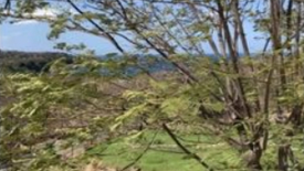 Land for sale in Natipuan, Batangas