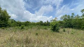 Land for sale in Biking, Bohol