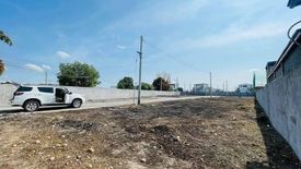 Land for sale in Mabini, Tarlac