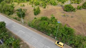 Land for sale in San Isidro, Bohol