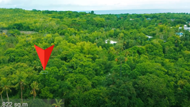Land for sale in Tawala, Bohol