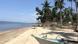 Land for sale in Concepcion, Palawan