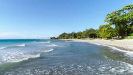 Land for sale in Concepcion, Palawan