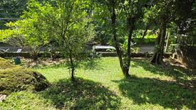 Land for sale in Barangka, Metro Manila