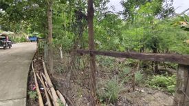 Land for sale in Poblacion, Cebu