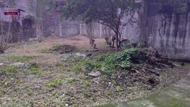 Land for sale in Culiat, Metro Manila