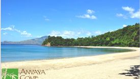 Land for sale in Anvaya Cove, Mabatang, Bataan