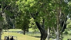 Land for sale in Javalera, Cavite