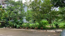 Land for sale in San Agustin I, Cavite