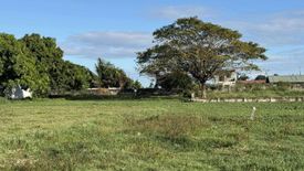 Land for sale in Maliwalu, Pampanga