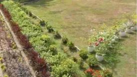 Land for sale in Binaritan, Bataan