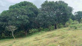 Land for sale in Lucsuhin, Batangas