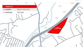 Land for sale in Ibabao, Cebu