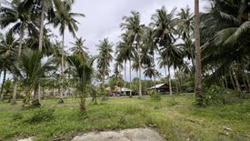 Land for sale in Polo, Zamboanga del Norte