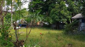 Land for sale in Maluay, Negros Oriental