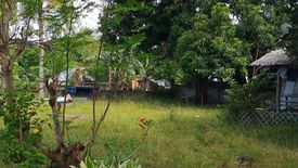 Land for sale in Maluay, Negros Oriental