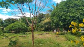 Land for sale in Maluay, Negros Oriental