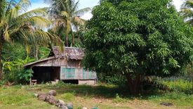 Land for sale in Maluay, Negros Oriental