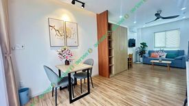 Cho thuê căn hộ chung cư 1 phòng ngủ tại An Hải Đông, Quận Sơn Trà, Đà Nẵng