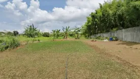 Land for sale in Mandalagan, Negros Occidental