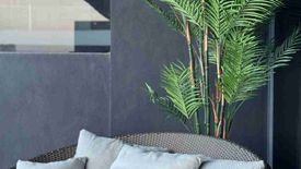 1 Bedroom Condo for rent in Mactan, Cebu