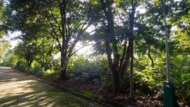 Land for sale in Mambugan, Rizal