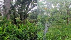 Land for sale in Mankilam, Davao del Norte