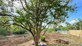 Land for sale in San Pedro, Rizal