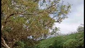 Land for sale in Mag-Atubang, Cebu