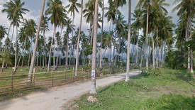 Land for sale in Tag-Ugpo, Compostela Valley