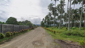 Land for sale in Tag-Ugpo, Compostela Valley
