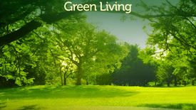 Land for sale in Puting Kahoy, Cavite