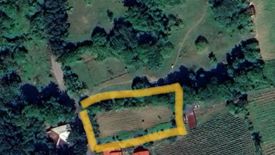 Land for sale in Bunggo, Laguna