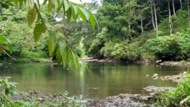 Land for sale in Santa Cruz, Agusan del Sur