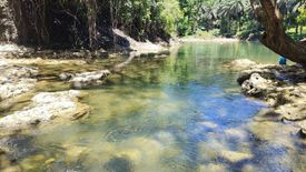 Land for sale in Santa Cruz, Agusan del Sur