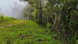 Land for sale in Dahilayan, Bukidnon
