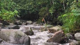 Land for sale in Dahilayan, Bukidnon