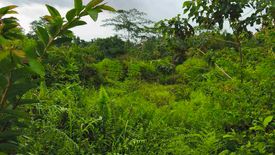 Land for sale in Dahilayan, Bukidnon