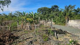 Land for sale in Poblacion, Bohol