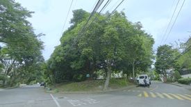Land for sale in New Alabang Village, Metro Manila