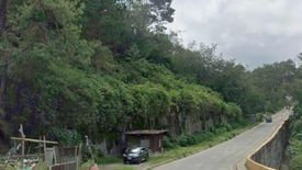 Land for sale in Santo Tomas Proper, Benguet