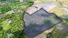 Land for sale in Bulilan Sur, Laguna