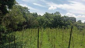 Land for sale in Kalawakan, Bulacan