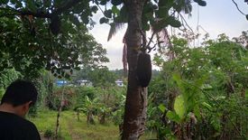 Land for sale in Zambal, Cavite