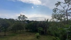Land for sale in Zambal, Cavite