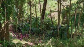 Land for sale in Camp 7, Benguet