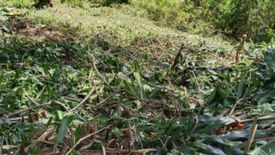 Land for sale in Camp 7, Benguet