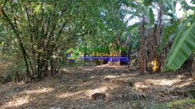 Land for sale in San Manuel I, Cavite