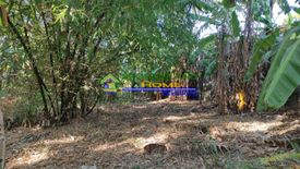 Land for sale in San Manuel I, Cavite
